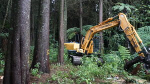Cypress Logging
